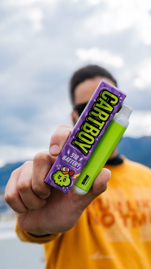 Cartboy 510 (Matte) - Image 5