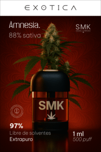 Pod SMK Amnesia
