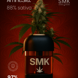 Pod SMK Amnesia